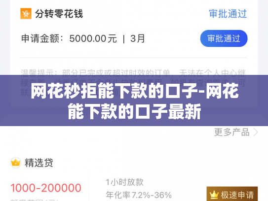 网花秒拒能下款的口子-网花能下款的口子最新