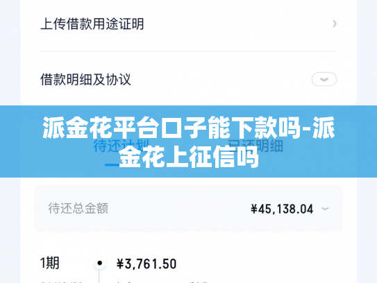 派金花平台口子能下款吗-派金花上征信吗