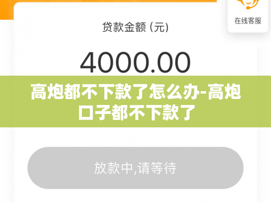 高炮都不下款了怎么办-高炮口子都不下款了