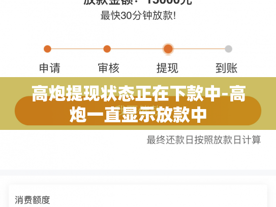 高炮提现状态正在下款中-高炮一直显示放款中