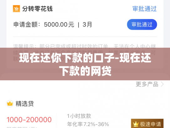 现在还你下款的口子-现在还下款的网贷