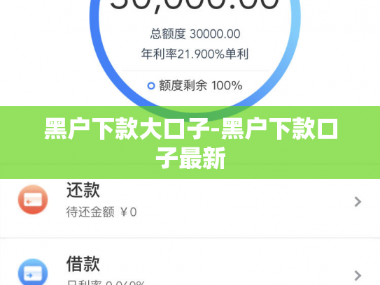 黑户下款大口子-黑户下款口子最新