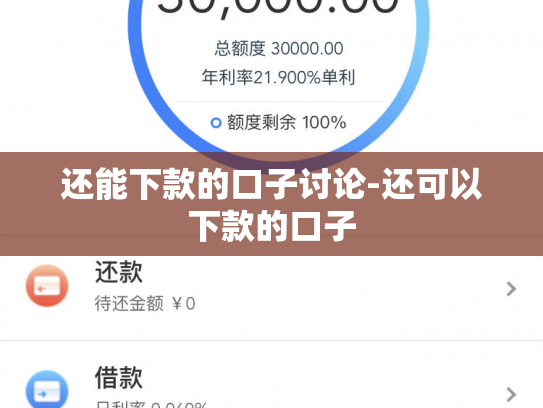 还能下款的口子讨论-还可以下款的口子