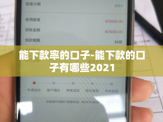 能下款率的口子-能下款的口子有哪些2021