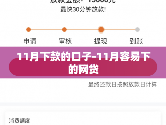 11月下款的口子-11月容易下的网贷