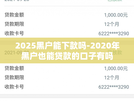 2025黑户能下款吗-2020年黑户也能贷款的口子有吗