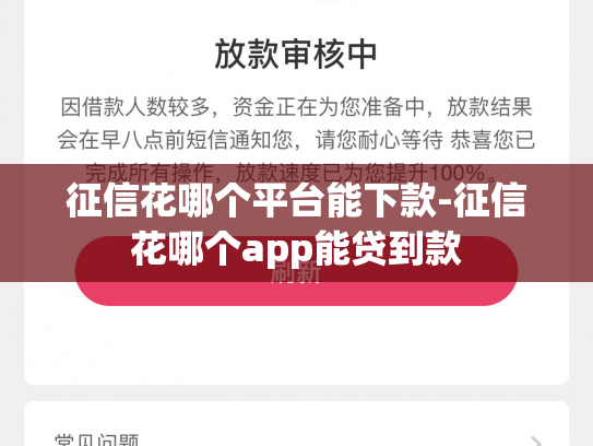 征信花哪个平台能下款-征信花哪个app能贷到款