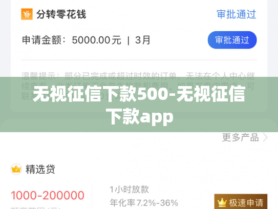 无视征信下款500-无视征信下款app
