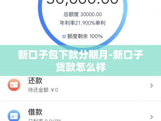 新口子包下款分期月-新口子贷款怎么样