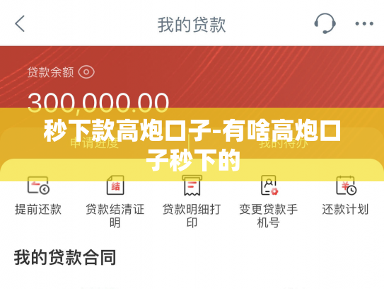 秒下款高炮口子-有啥高炮口子秒下的
