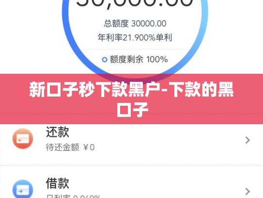 新口子秒下款黑户-下款的黑口子