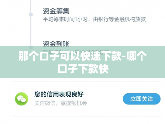 那个口子可以快速下款-哪个口子下款快