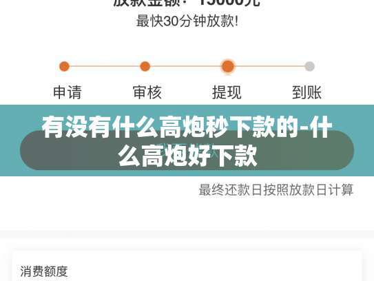 有没有什么高炮秒下款的-什么高炮好下款