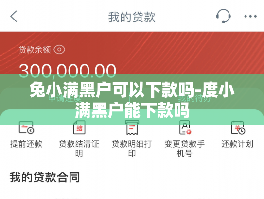 兔小满黑户可以下款吗-度小满黑户能下款吗