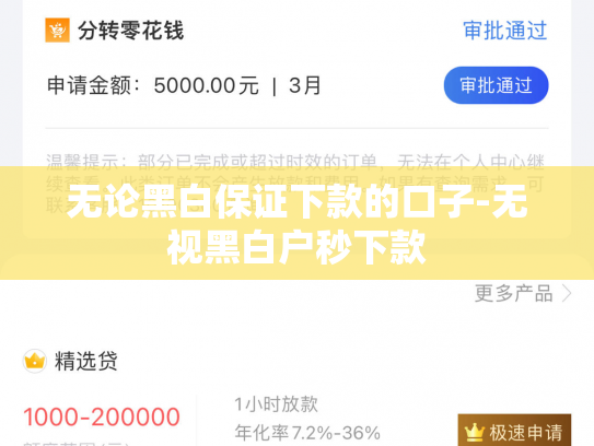 无论黑白保证下款的口子-无视黑白户秒下款