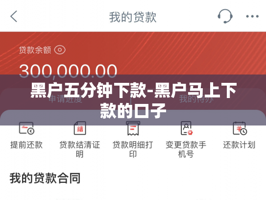 黑户五分钟下款-黑户马上下款的口子