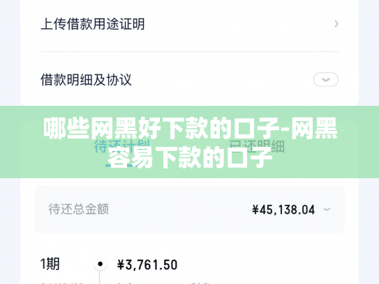 哪些网黑好下款的口子-网黑容易下款的口子