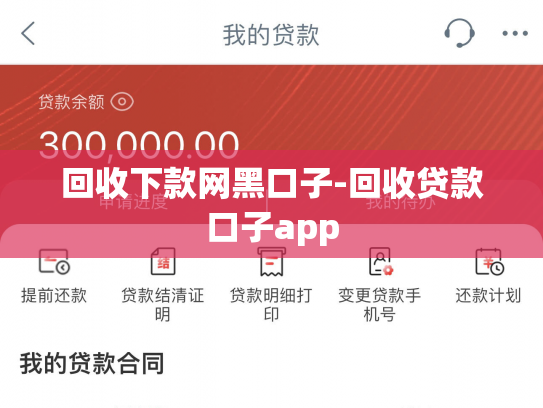 回收下款网黑口子-回收贷款口子app