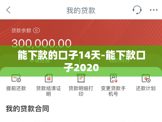 能下款的口子14天-能下款口子2020