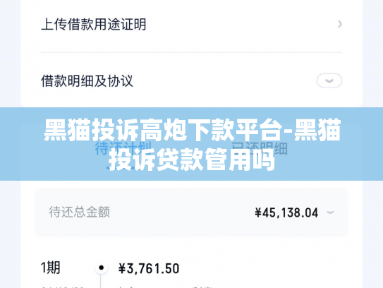 黑猫投诉高炮下款平台-黑猫投诉贷款管用吗