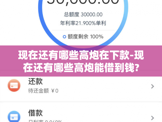 现在还有哪些高炮在下款-现在还有哪些高炮能借到钱?
