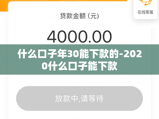 什么口子年30能下款的-2020什么口子能下款
