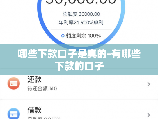 哪些下款口子是真的-有哪些下款的口子