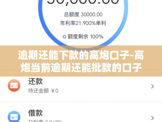 逾期还能下款的高炮口子-高炮当前逾期还能批款的口子