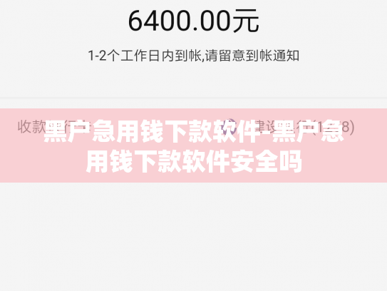 黑户急用钱下款软件-黑户急用钱下款软件安全吗
