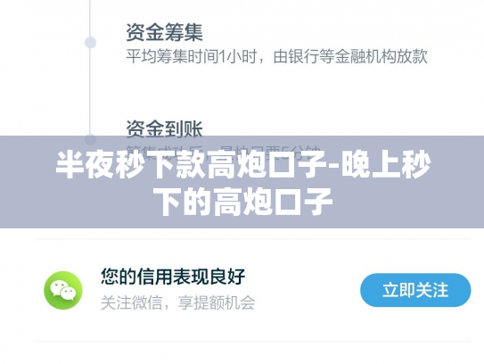 半夜秒下款高炮口子-晚上秒下的高炮口子
