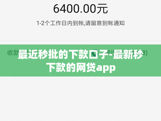 最近秒批的下款口子-最新秒下款的网贷app