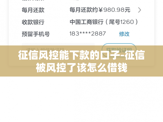 征信风控能下款的口子-征信被风控了该怎么借钱