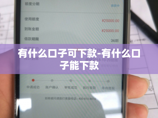 有什么口子可下款-有什么口子能下款