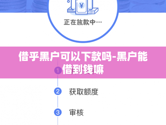 借乎黑户可以下款吗-黑户能借到钱嘛