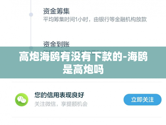 高炮海鸥有没有下款的-海鸥是高炮吗