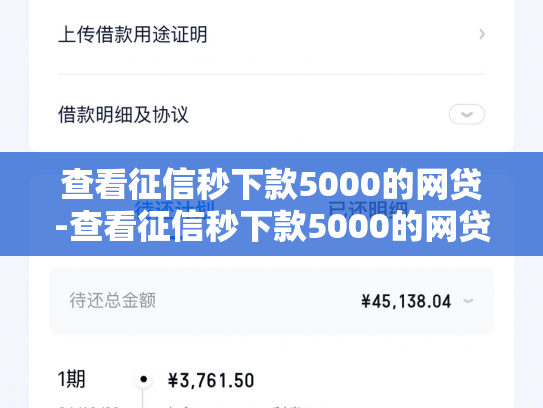 查看征信秒下款5000的网贷-查看征信秒下款5000的网贷可靠吗