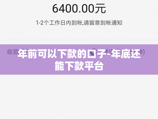 年前可以下款的口子-年底还能下款平台