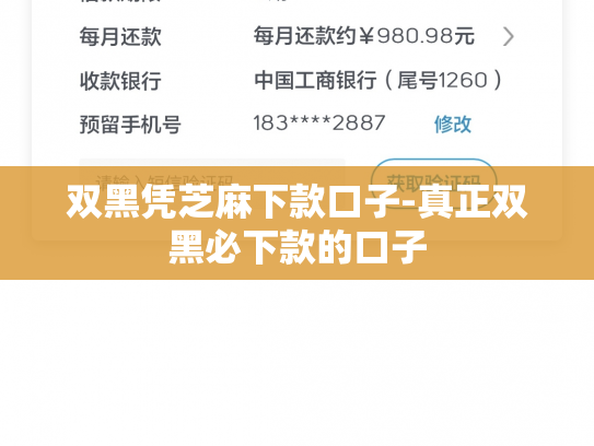 双黑凭芝麻下款口子-真正双黑必下款的口子