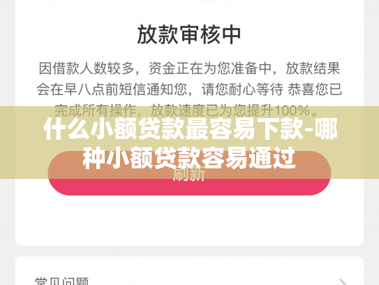 什么小额贷款最容易下款-哪种小额贷款容易通过