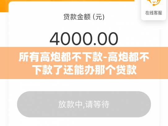 所有高炮都不下款-高炮都不下款了还能办那个贷款