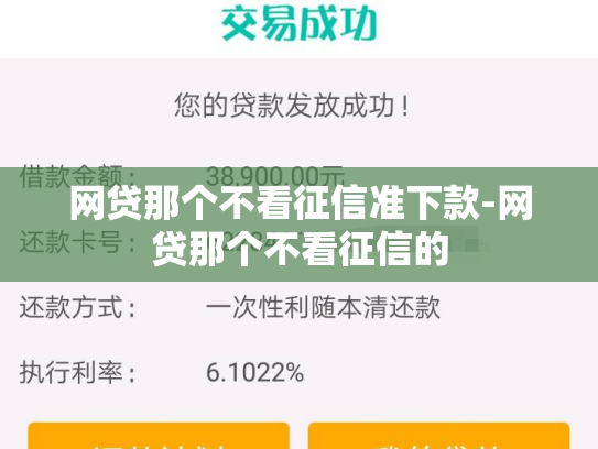 网贷那个不看征信准下款-网贷那个不看征信的