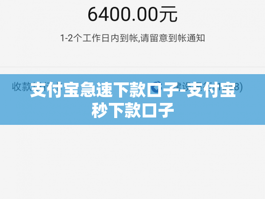 支付宝急速下款口子-支付宝秒下款口子
