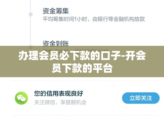 办理会员必下款的口子-开会员下款的平台