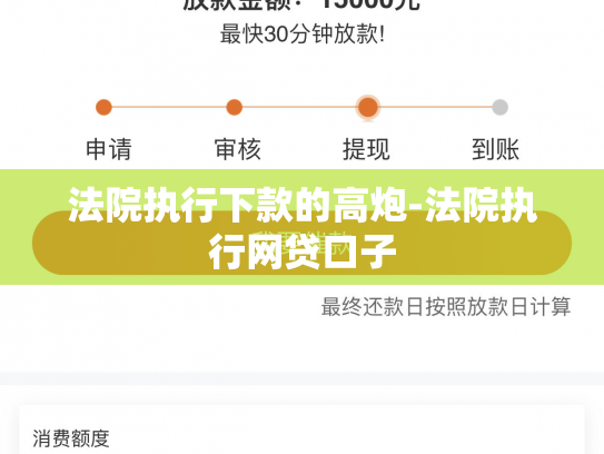 法院执行下款的高炮-法院执行网贷口子