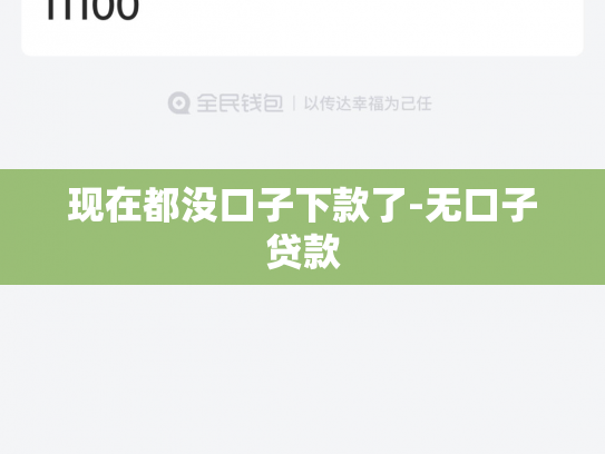 现在都没口子下款了-无口子贷款