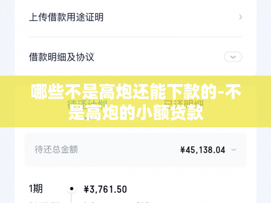 哪些不是高炮还能下款的-不是高炮的小额贷款