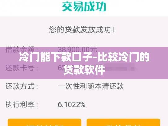 冷门能下款口子-比较冷门的贷款软件