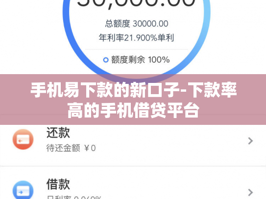 手机易下款的新口子-下款率高的手机借贷平台