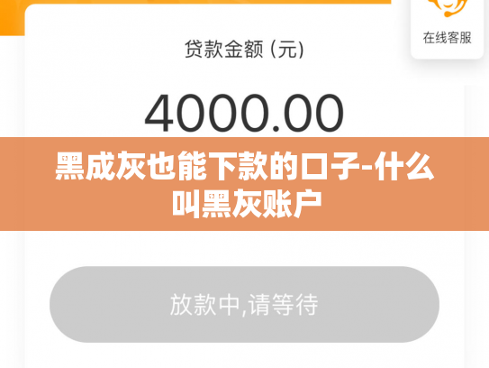 黑成灰也能下款的口子-什么叫黑灰账户