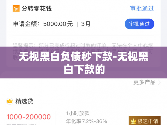 无视黑白负债秒下款-无视黑白下款的